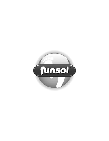 Funsol